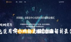标题genommentP钱包使用哪个