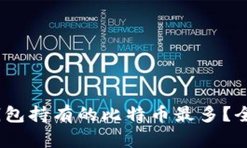 2023年哪种钱包持有的比特币最多？全面分析与评测