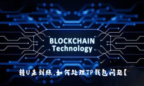转U未到账，如何处理TP钱包问题？