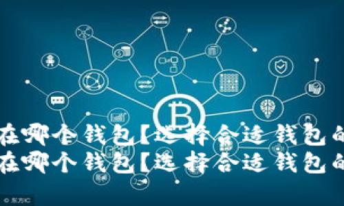 比特币存在哪个钱包？选择合适钱包的完整指南
比特币存在哪个钱包？选择合适钱包的完整指南