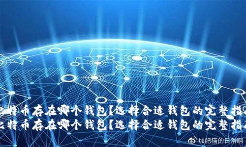 比特币存在哪个钱包？选择合适钱包的完整指南
比特币存在哪个钱包？选择合适钱包的完整指南