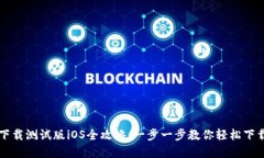 TP钱包下载测试版iOS全攻略