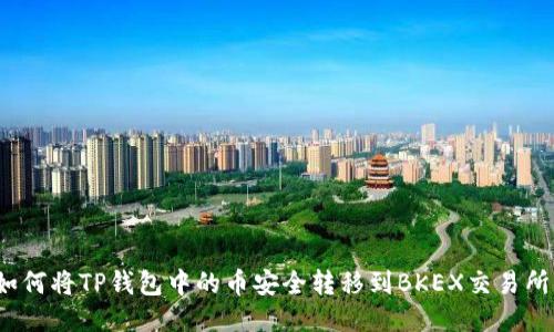 如何将TP钱包中的币安全转移到BKEX交易所？