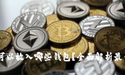 USDT可以放入哪些钱包？全面解析最优选择