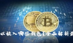 USDT可以放入哪些钱包？全