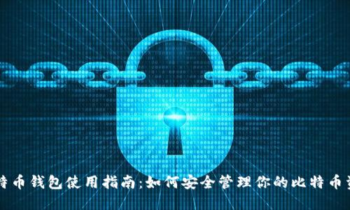 比特币钱包使用指南：如何安全管理你的比特币资产
