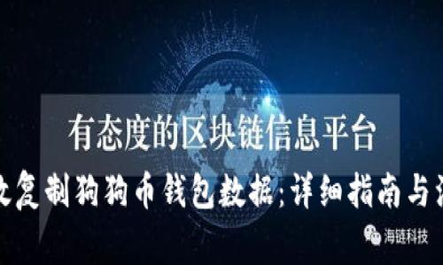 如何有效复制狗狗币钱包数据：详细指南与注意事项