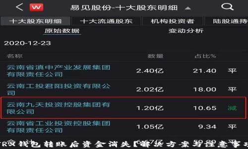 
TRX钱包转账后资金消失？解决方案与注意事项