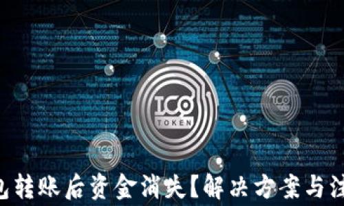 
TRX钱包转账后资金消失？解决方案与注意事项
