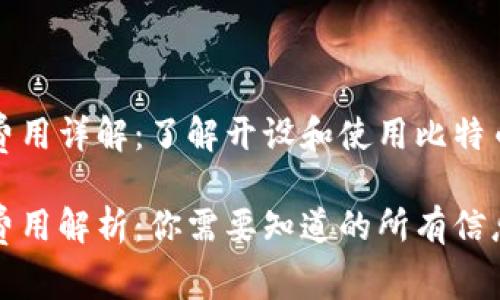 比特币钱包费用详解：了解开设和使用比特币钱包的成本

比特币钱包费用解析：你需要知道的所有信息