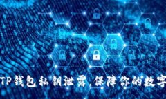 :如何防止TP钱包私钥泄露