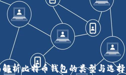 全面解析比特币钱包的类型与选择指南