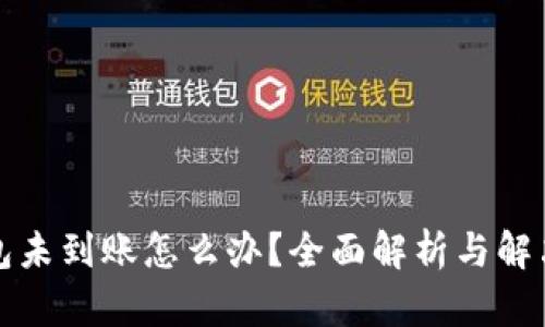 盛钱包未到账怎么办？全面解析与解决方案