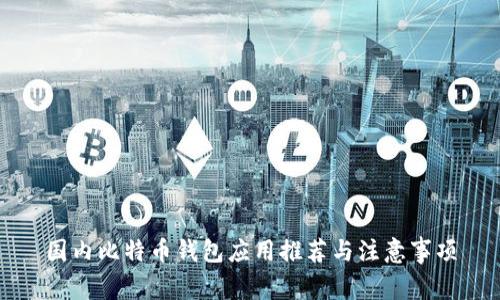 国内比特币钱包应用推荐与注意事项