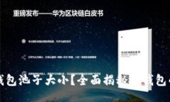 的什么是TP钱包池子大小？
