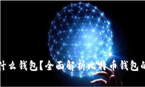 买比特币后放什么钱包？全面解析比特币钱包的选择与安全性