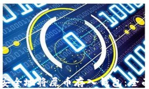 
如何安全地将屎币存入钱包：全面指南