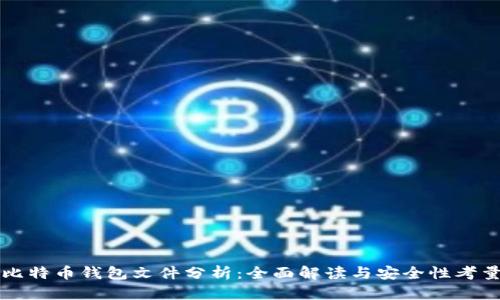 比特币钱包文件分析：全面解读与安全性考量