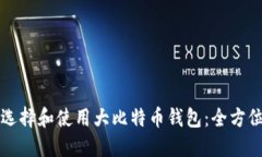 如何选择和使用大比特币
