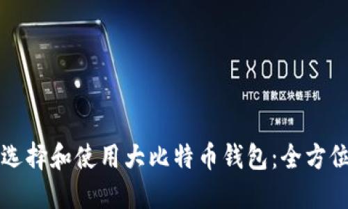 如何选择和使用大比特币钱包：全方位指南