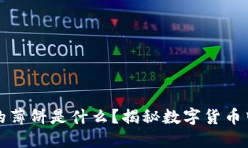 : TP钱包中的薄饼是什么？揭秘数字货币中的重要资产