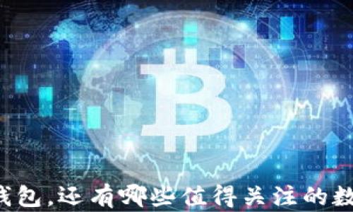 
除了TP钱包，还有哪些值得关注的数字钱包？