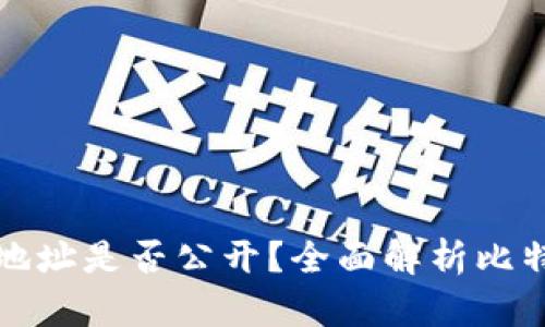 比特币钱包地址是否公开？全面解析比特币隐私问题