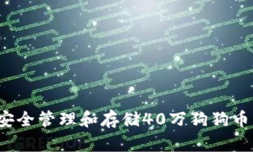 如何安全管理和存储40万狗狗币钱包？