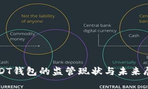 USDT钱包的监管现状与未来展望