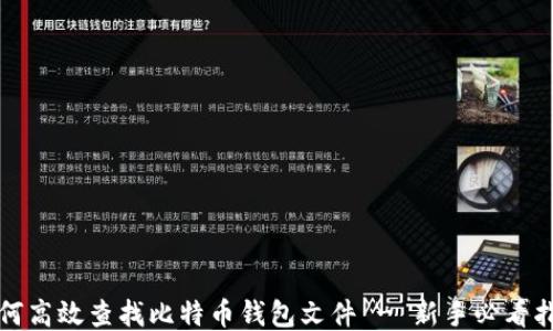 
如何高效查找比特币钱包文件 - 新手必看指南