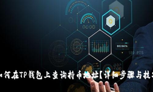 如何在TP钱包上查询持币地址？详细步骤与技巧
