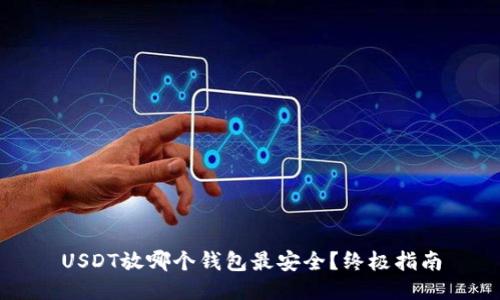 USDT放哪个钱包最安全？终极指南