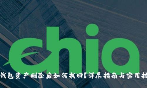 TP钱包资产删除后如何找回？详尽指南与实用技巧