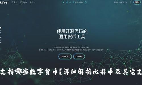 比太钱包支持哪些数字货币？详细解析比特币及其它支持的币种