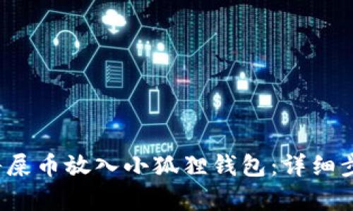  如何将屎币放入小狐狸钱包：详细步骤解析