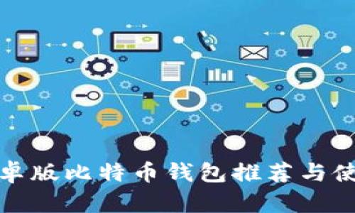 最佳安卓版比特币钱包推荐与使用指南