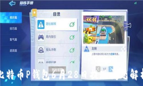   
比特币P钱包6月28日提现问题解析