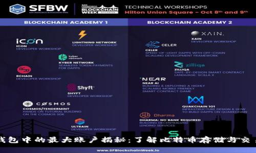比特币钱包中的最大账户揭秘：了解比特币存储与交易的秘密