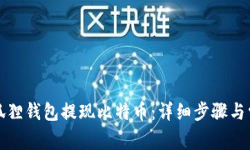 如何使用小狐狸钱包提现比特币：详细步骤与常见问题解答