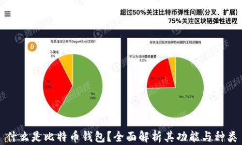 
什么是比特币钱包？全面解析其功能与种类