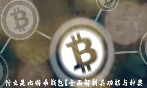 
什么是比特币钱包？全面解析其功能与种类