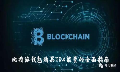 比特派钱包购买TRX能量的全面指南