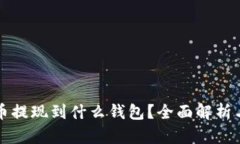 狗狗币提现到什么钱包？