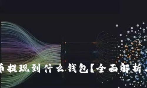 狗狗币提现到什么钱包？全面解析与推荐