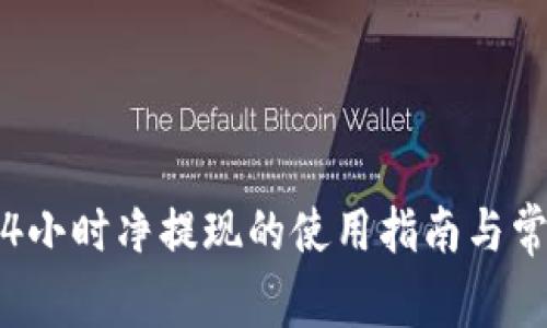 USDT钱包24小时净提现的使用指南与常见问题解答