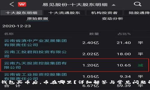 t p钱包买币后，币在哪里？详细解答与常见问题解析