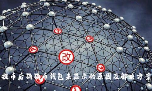 提币后狗狗币钱包未显示的原因及解决方案