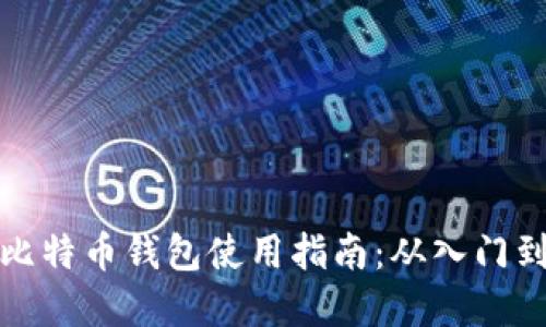 实体比特币钱包使用指南：从入门到精通