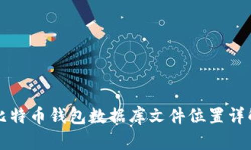 比特币钱包数据库文件位置详解