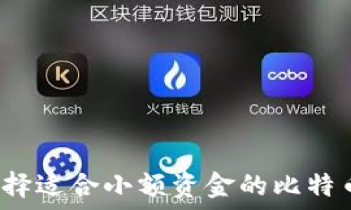 如何选择适合小额资金的比特币钱包?
